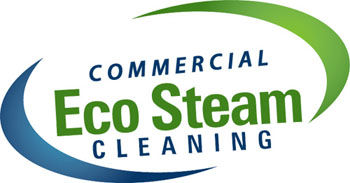 eco steam cleaning